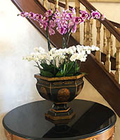 Orchid on glass table
