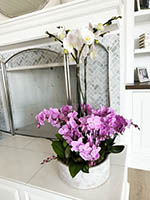Orchid near fireplace