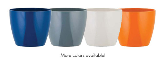 Phoenix Collection Colors