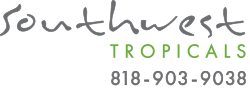 South West Tropicals